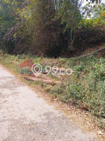Tanah Dijual Lokasi Nganjuk, Nganjuk Luas 1061m2 Legalitas Aman Tanah Dijual Lokasi Nganjuk, Nganjuk Luas 1061m2 Legalitas Aman