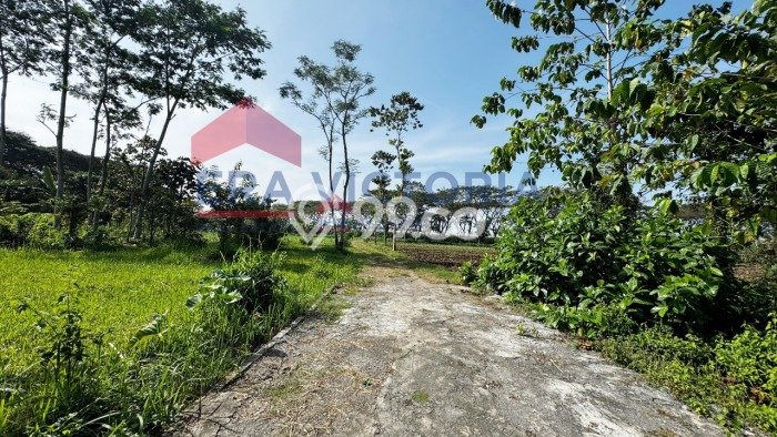 Tanah Lokasi Strategis Kawasan Pakis, Luas 186m2m², Akses ke Fasilitas Umum, Dekat Pakis, Malang, Malang Tanah Lokasi Strategis Kawasan Pakis, Luas 186m2m², Akses ke Fasilitas Umum, Dekat Pakis, Malang, Malang