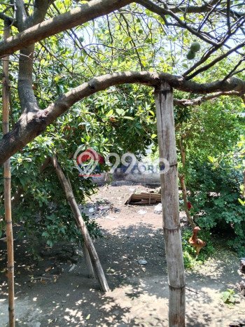 Rumah 3 KT 2 KM di Area Ngasem, Kediri Rumah 3 KT 2 KM di Area Ngasem, Kediri