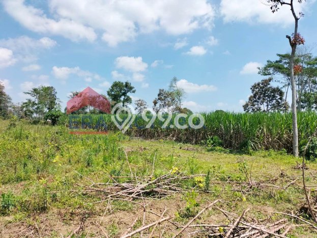 Tanah Kawasan Poncokusumo, Luas 9760m2m², Area Komersial Tanah Kawasan Poncokusumo, Luas 9760m2m², Area Komersial
