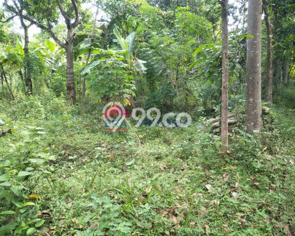 Tanah Kawasan Mojo, Luas 2814m2m², Sertifikat Hak Milik, Akses Mojo, Kediri, Kediri Tanah Kawasan Mojo, Luas 2814m2m², Sertifikat Hak Milik, Akses Mojo, Kediri, Kediri