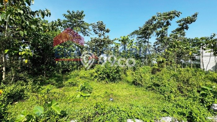 Tanah Lokasi Strategis Kawasan Pakis, Luas 186m2m², Akses ke Fasilitas Umum, Dekat Pakis, Malang, Malang Tanah Lokasi Strategis Kawasan Pakis, Luas 186m2m², Akses ke Fasilitas Umum, Dekat Pakis, Malang, Malang