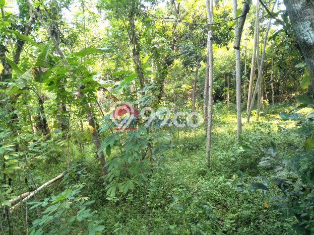 Tanah Kawasan Mojo, Luas 2814m2m², Sertifikat Hak Milik, Akses Mojo, Kediri, Kediri Tanah Kawasan Mojo, Luas 2814m2m², Sertifikat Hak Milik, Akses Mojo, Kediri, Kediri