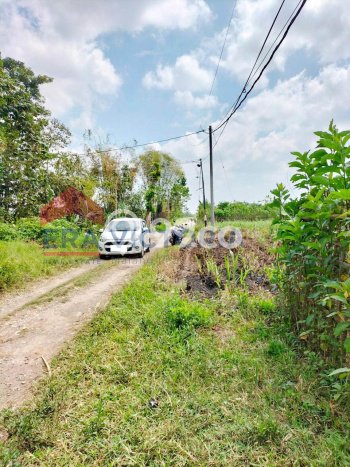 LOKASI STRATEGIS! Tanah Kawasan Pakisaji, Luas 144m2m², Area Asri, Cocok untuk Hunian LOKASI STRATEGIS! Tanah Kawasan Pakisaji, Luas 144m2m², Area Asri, Cocok untuk Hunian