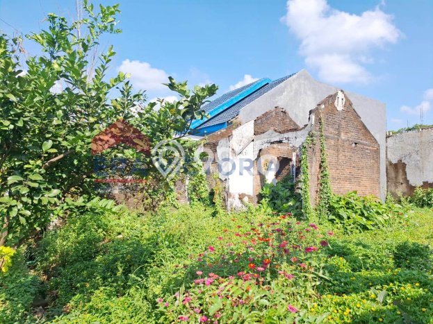 Tanah Potensial Kawasan Lawang, Luas 300m2m², Pinggir Jalan Tanah Potensial Kawasan Lawang, Luas 300m2m², Pinggir Jalan
