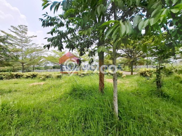 Jual Tanah Area Berkembang di , Luas 177m2m², Akses Malang, Malang Jual Tanah Area Berkembang di , Luas 177m2m², Akses Malang, Malang
