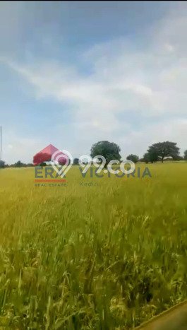 LOKASI STRATEGIS! Tanah di Sarirejo, Luas 6878m2m², Lokasi Potensial, Cocok untuk Investasi LOKASI STRATEGIS! Tanah di Sarirejo, Luas 6878m2m², Lokasi Potensial, Cocok untuk Investasi