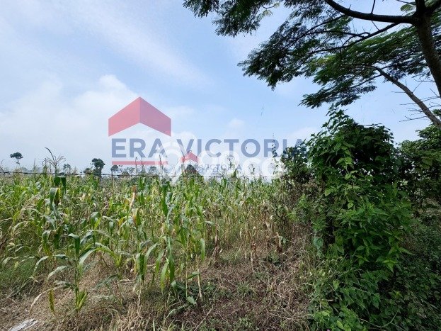 LOKASI STRATEGIS! Tanah Kawasan Poncokusumo, Luas 25105m2m², Pinggir Jalan Raya LOKASI STRATEGIS! Tanah Kawasan Poncokusumo, Luas 25105m2m², Pinggir Jalan Raya