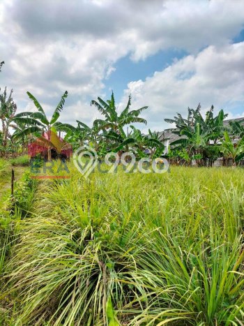 LOKASI STRATEGIS! Tanah Kawasan Pakisaji, Luas 144m2m², Area Asri, Cocok untuk Hunian LOKASI STRATEGIS! Tanah Kawasan Pakisaji, Luas 144m2m², Area Asri, Cocok untuk Hunian