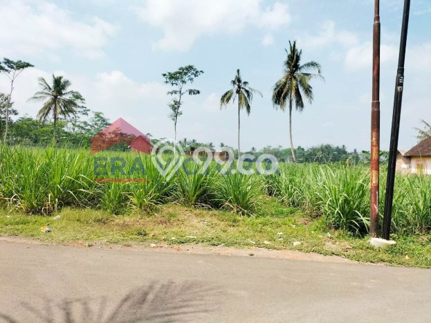 Tanah Lokasi Strategis Kawasan Pakisaji, Luas 7000m2m², Kawasan Nyaman, Akses Pakisaji, Malang, Malang Tanah Lokasi Strategis Kawasan Pakisaji, Luas 7000m2m², Kawasan Nyaman, Akses Pakisaji, Malang, Malang