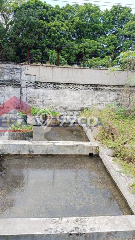 Rumah di Klojen, Malang, LT 537m2m² Bangunan 800m2m² Rumah di Klojen, Malang, LT 537m2m² Bangunan 800m2m²