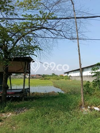 Lahan Investasi Lokasi Krian Sidoarjo SHM Lahan Investasi Lokasi Krian Sidoarjo SHM