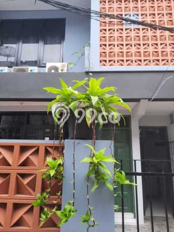 Hunian Eksklusif Siap Huni LT 126m2 di Tebet, Jakarta Selatan Hunian Eksklusif Siap Huni LT 126m2 di Tebet, Jakarta Selatan