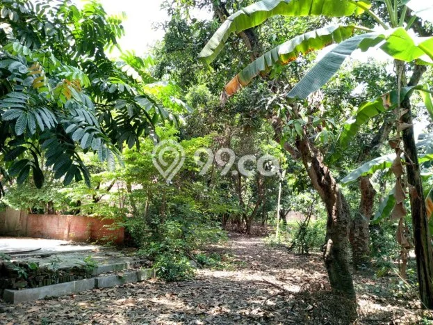 Tanah di Plemahan, Kediri Luas 3000m2 Dijual Segera Tanah di Plemahan, Kediri Luas 3000m2 Dijual Segera