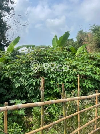 Tanah Strategis Dijual di Ciputat Timur Tangerang Selatan 4612m2 Tanah Strategis Dijual di Ciputat Timur Tangerang Selatan 4612m2