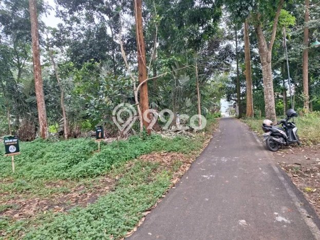 Tanah untuk Dijual Lokasi Mijen, Semarang Luas 128m2 SHM Tanah untuk Dijual Lokasi Mijen, Semarang Luas 128m2 SHM