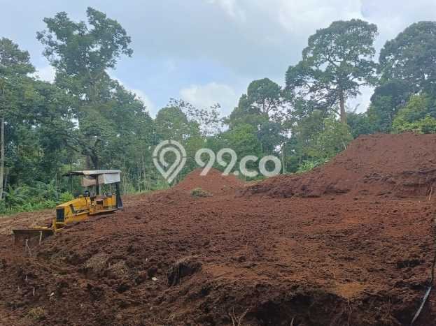 Kavling Tanah Dijual di Gunung Pati Semarang Spesifikasi 120m2 Kavling Tanah Dijual di Gunung Pati Semarang Spesifikasi 120m2