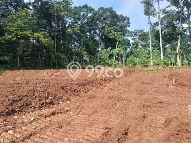 Tanah Dijual Lokasi Gunung Pati, Semarang Luas 120m2 Legalitas Aman Tanah Dijual Lokasi Gunung Pati, Semarang Luas 120m2 Legalitas Aman