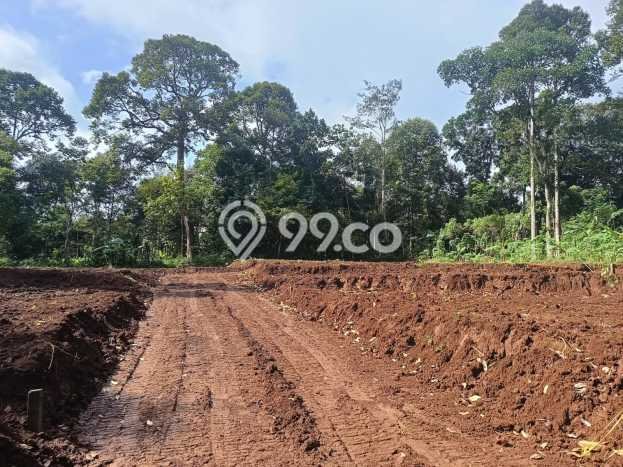 Tanah untuk Dijual Lokasi Gunung Pati, Semarang Luas 120m2 SHM Tanah untuk Dijual Lokasi Gunung Pati, Semarang Luas 120m2 SHM