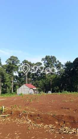 Lahan Strategis di Gunung Pati Dijual dengan Luas 120m2 Lahan Strategis di Gunung Pati Dijual dengan Luas 120m2