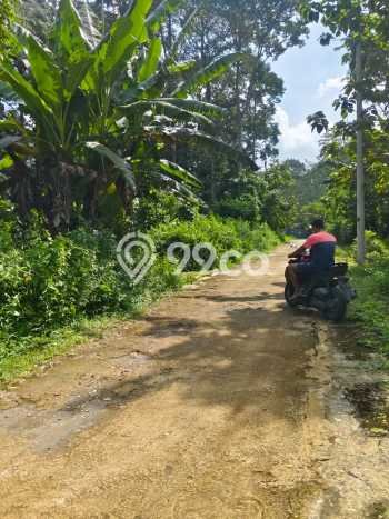 Tanah Dijual Lokasi Gunung Pati, Semarang dengan Luas Tanah 120m2 dan Status SHM Tanah Dijual Lokasi Gunung Pati, Semarang dengan Luas Tanah 120m2 dan Status SHM