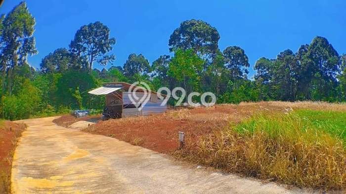 Jarang Ada! Tanah di Gunung Pati Punya Luas 120m2 SHM Jarang Ada! Tanah di Gunung Pati Punya Luas 120m2 SHM