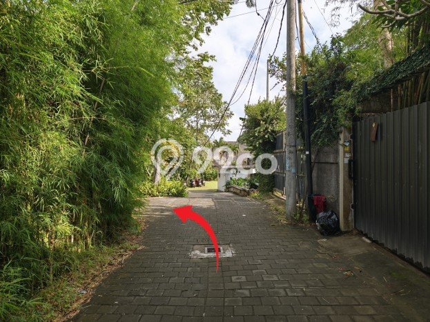 Tanah Investasi Dijual di Badung Punya Luas 1350m2 Tanah Investasi Dijual di Badung Punya Luas 1350m2
