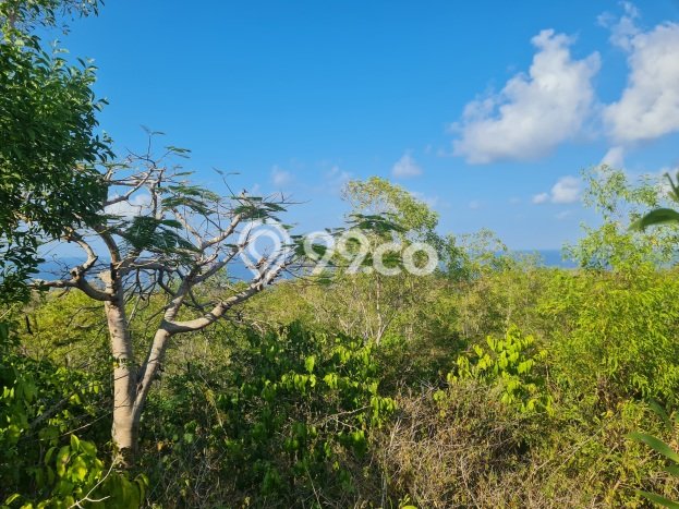 Dijual Tanah 15000m2 di Kutuh, Badung Dijual Tanah 15000m2 di Kutuh, Badung