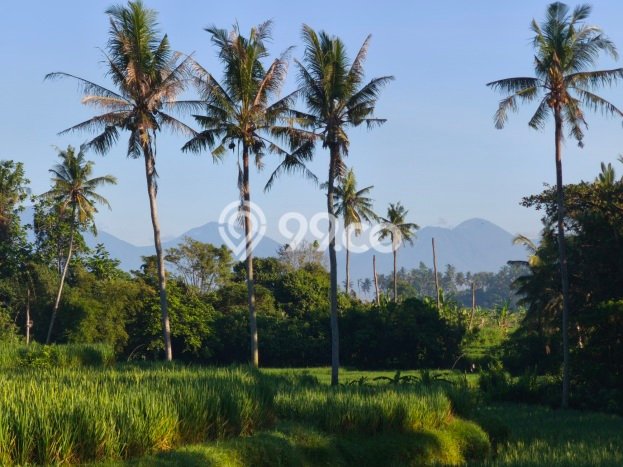 Dijual Tanah 4500m2 di Singapadu Tengah, Gianyar Dijual Tanah 4500m2 di Singapadu Tengah, Gianyar