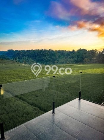 Best Deal Hunian Premium Ideal dan Luas di Abiansemal, Badung Best Deal Hunian Premium Ideal dan Luas di Abiansemal, Badung