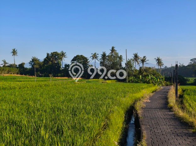 Dijual Tanah 4500m2 di Singapadu Tengah, Gianyar Dijual Tanah 4500m2 di Singapadu Tengah, Gianyar