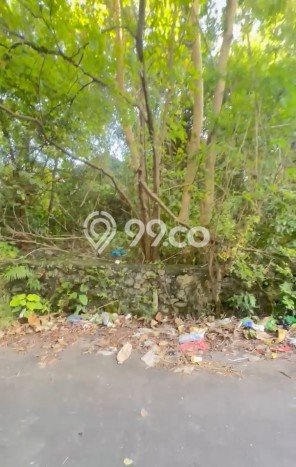 Tanah Siap Bangun Dijual di Badung Punya Luas 484m2 Tanah Siap Bangun Dijual di Badung Punya Luas 484m2