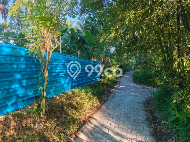 Dijual Tanah 4500m2 di Singapadu Tengah, Gianyar Dijual Tanah 4500m2 di Singapadu Tengah, Gianyar