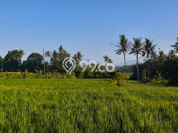 Dijual Tanah 4500m2 di Singapadu Tengah, Gianyar Dijual Tanah 4500m2 di Singapadu Tengah, Gianyar