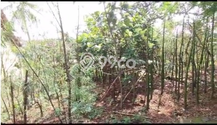 Tanah Dijual Lokasi Sawangan, Depok Luas 820m2 Legalitas Aman Tanah Dijual Lokasi Sawangan, Depok Luas 820m2 Legalitas Aman