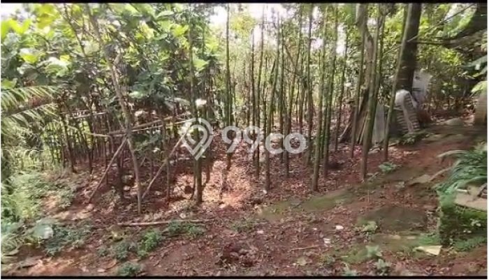 Tanah Dijual Lokasi Sawangan, Depok Luas 820m2 Legalitas Aman Tanah Dijual Lokasi Sawangan, Depok Luas 820m2 Legalitas Aman