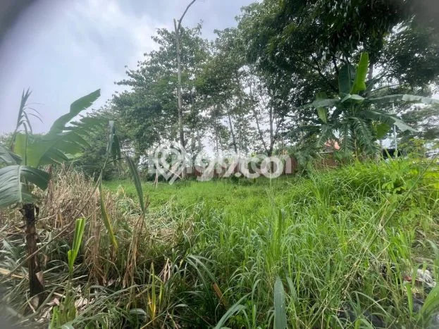 Tanah Dijual Lokasi Soreang, Bandung Luas 12959m2 Legalitas Aman Tanah Dijual Lokasi Soreang, Bandung Luas 12959m2 Legalitas Aman