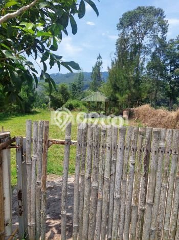 Tanah Kavling Dijual di Lembang, Bandung dengan Luas Tanah 619m2 Tanah Kavling Dijual di Lembang, Bandung dengan Luas Tanah 619m2