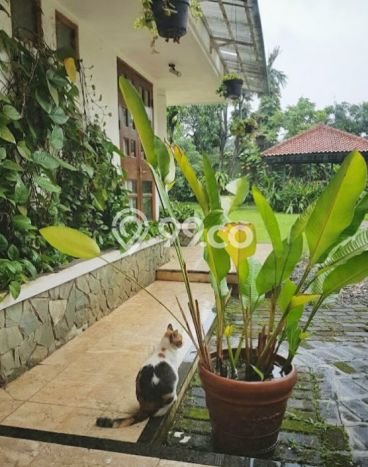 Siap Huni Hunian Elit 6 Kamar di Cilandak Dekat ke Mana Pun Siap Huni Hunian Elit 6 Kamar di Cilandak Dekat ke Mana Pun