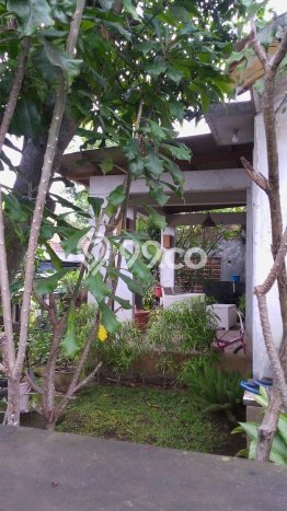 For Sale Rumah 5 Kamar Lokasi Ideal Bagus dan Strategis di Arcamanik For Sale Rumah 5 Kamar Lokasi Ideal Bagus dan Strategis di Arcamanik