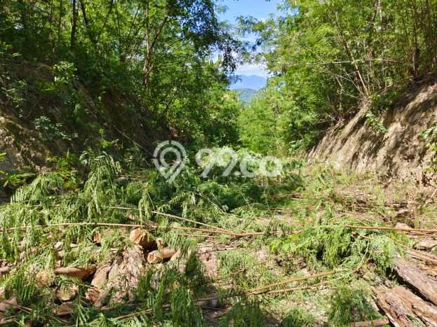 Tanah Kavling Dijual di Manggarai Barat dengan Spesifikasi 600m2 Tanah Kavling Dijual di Manggarai Barat dengan Spesifikasi 600m2