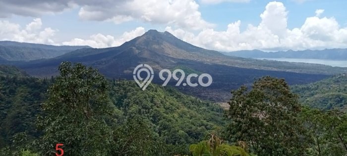 Tanah Dijual di Bangli Seluas 2400m2 Strategis Tanah Dijual di Bangli Seluas 2400m2 Strategis