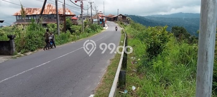 Tanah Dijual di Bangli Seluas 2400m2 Strategis Tanah Dijual di Bangli Seluas 2400m2 Strategis