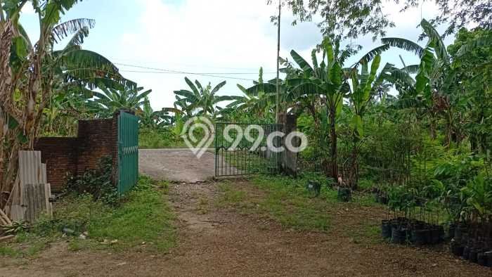 Kavling Tanah di Lembar Dijual Luas 5031m2 Legalitas SHM Kavling Tanah di Lembar Dijual Luas 5031m2 Legalitas SHM