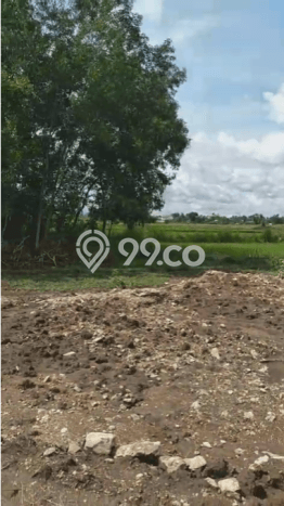 Lahan untuk Dijual di Tigaraksa Tangerang Luas 500000m2 Lahan untuk Dijual di Tigaraksa Tangerang Luas 500000m2