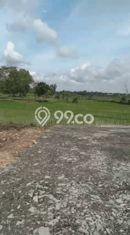 Lahan untuk Dijual di Tigaraksa Tangerang Luas 500000m2 Lahan untuk Dijual di Tigaraksa Tangerang Luas 500000m2