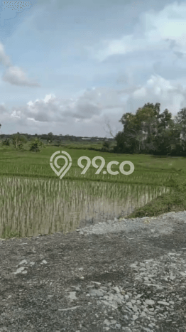 Lahan untuk Dijual di Tigaraksa Tangerang Luas 500000m2 Lahan untuk Dijual di Tigaraksa Tangerang Luas 500000m2