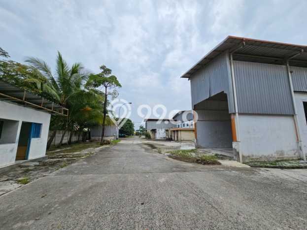Jarang Ada! Tanah di Balaraja Punya Luas 20000m2 - Jarang Ada! Tanah di Balaraja Punya Luas 20000m2 -