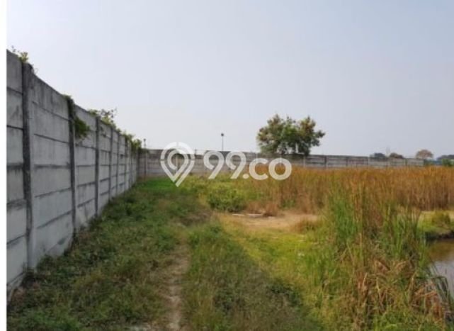 Untuk Disewa Tanah di Marunda Jakarta Utara Seluas 35000m2 Untuk Disewa Tanah di Marunda Jakarta Utara Seluas 35000m2