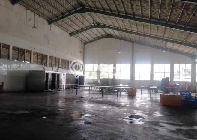 Paling Dicari! Pabrik Dijual di Cilacap Harga Kompetitif Paling Dicari! Pabrik Dijual di Cilacap Harga Kompetitif